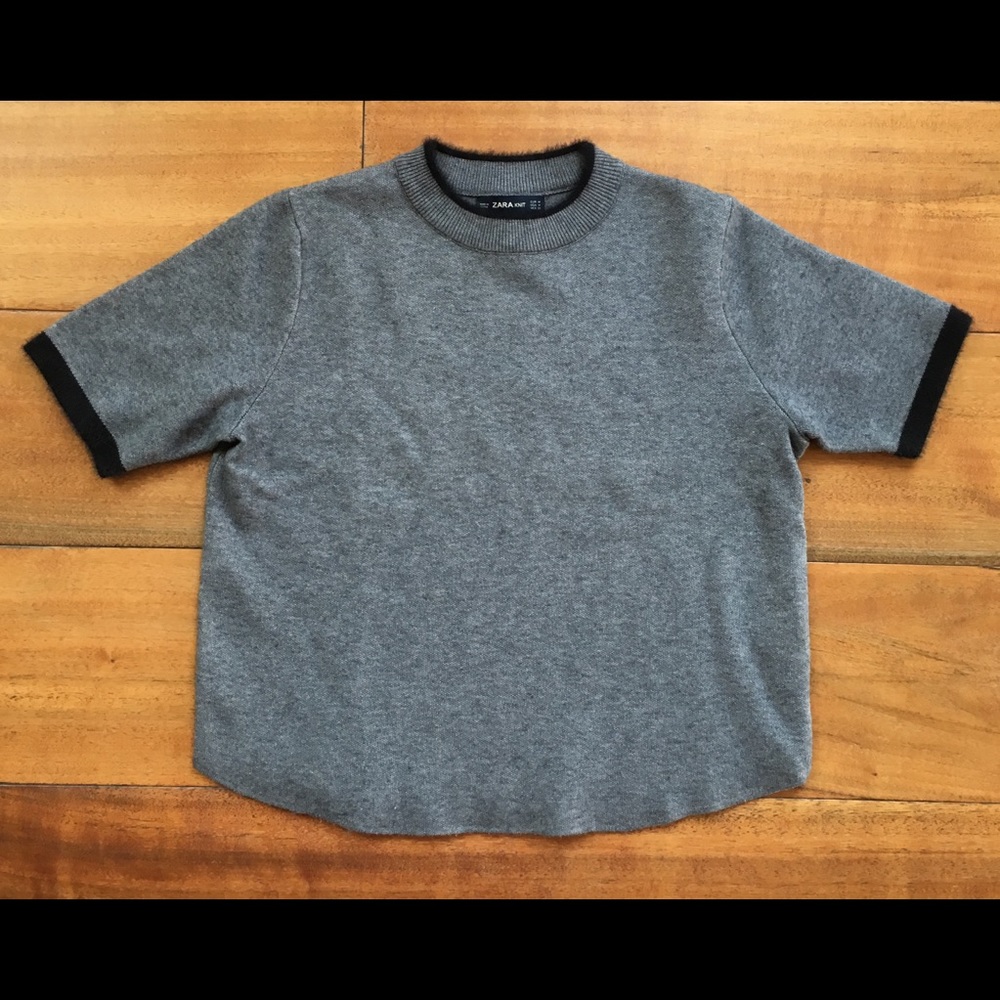 Zara Knit Short Sleeve Sweater
